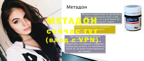шишки Няндома