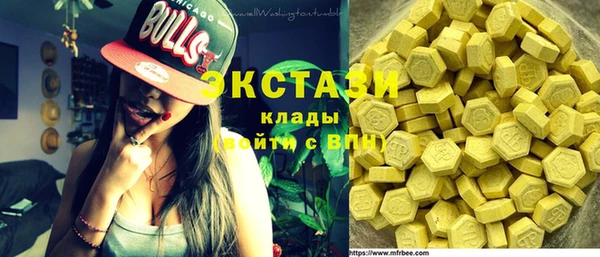шишки Няндома