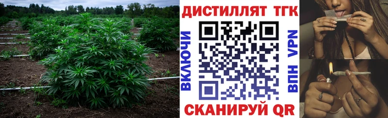 где найти наркотики  Сертолово  Дистиллят ТГК THC oil 