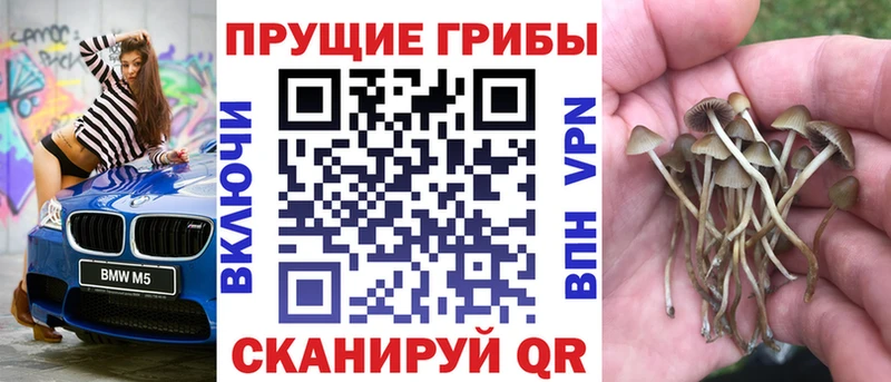 Галлюциногенные грибы GOLDEN TEACHER  ОМГ ОМГ ТОР  Сертолово  цены наркотик 