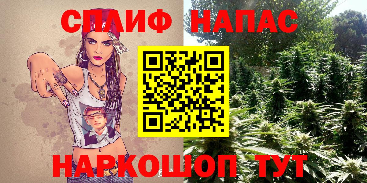Шишки марихуана гибрид  Вход с VPN  Конопля планчик  МАРИХУАНА White Widow  Сертолово 